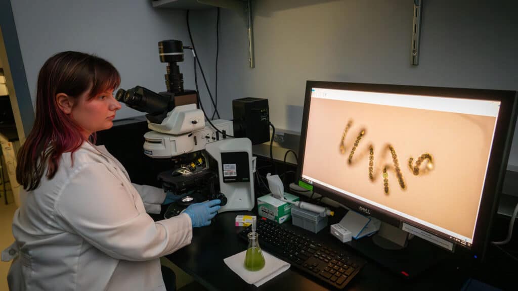 Graduate student Lucy Roussa looks at images from a microscope on a wide computer screen.