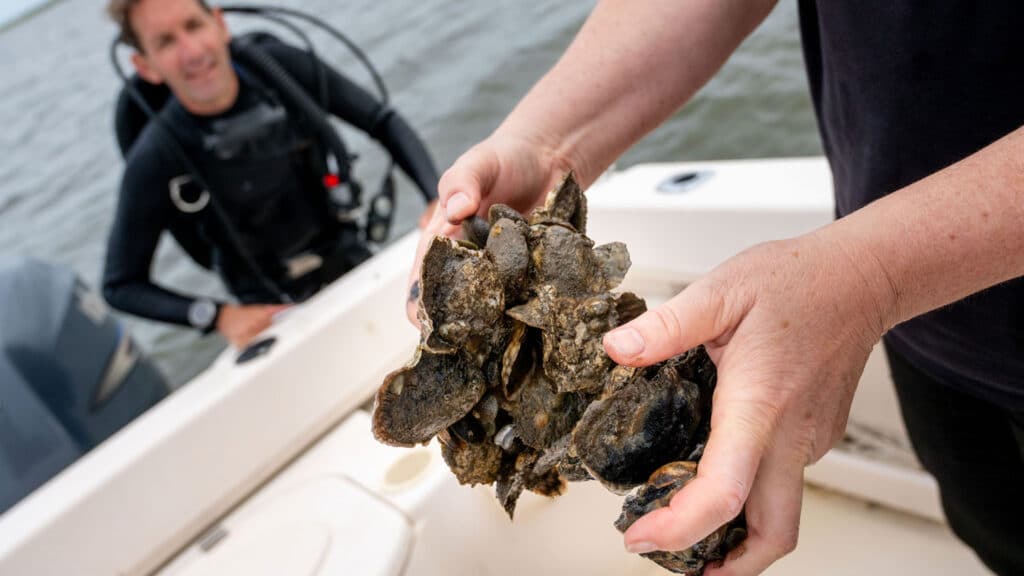 Faculty member Astrid Schnetzer holds oysters that were pulled from the Pamlico Sound.