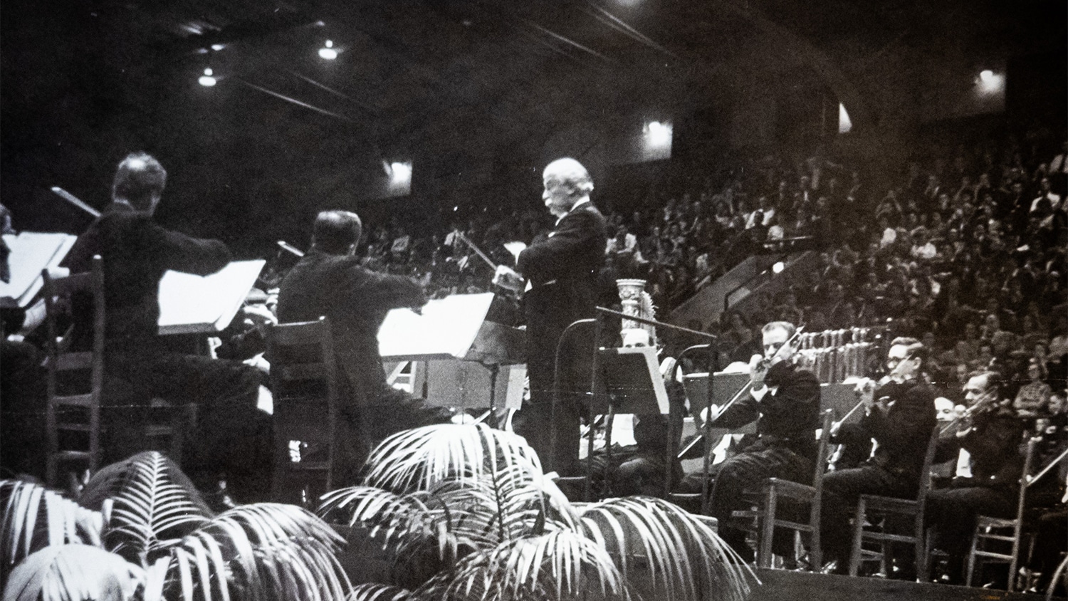 The NC Symphony Orchestra performing at Reynolds Coliseum in 1980.