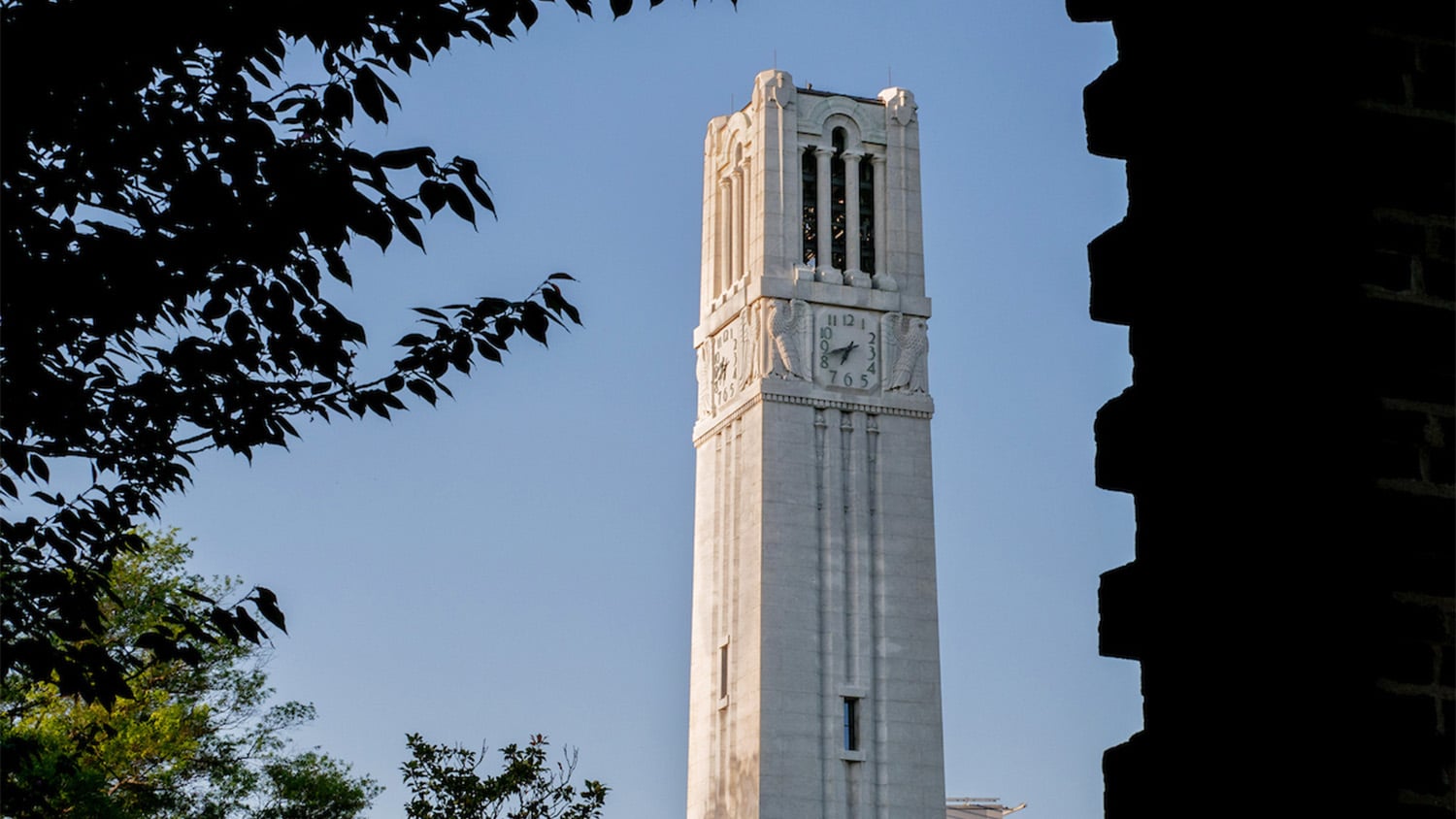 The NC state Belltower