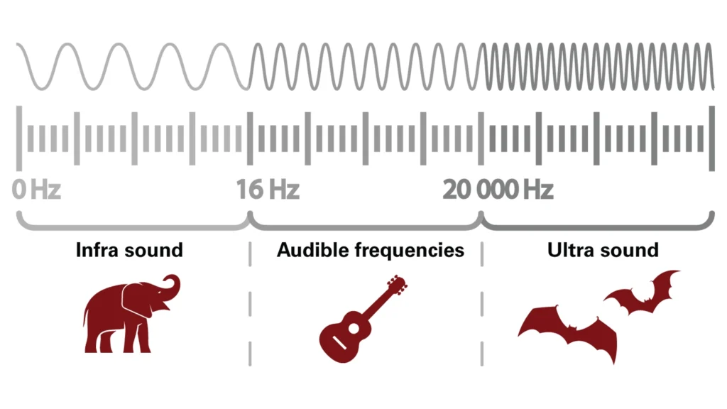 A linear graphic of sound wave frequencies. 