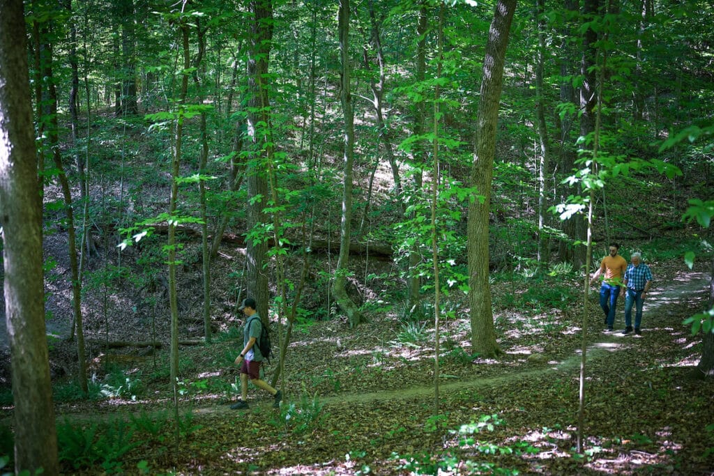 People hike the trails in Lake Raleigh Woods.