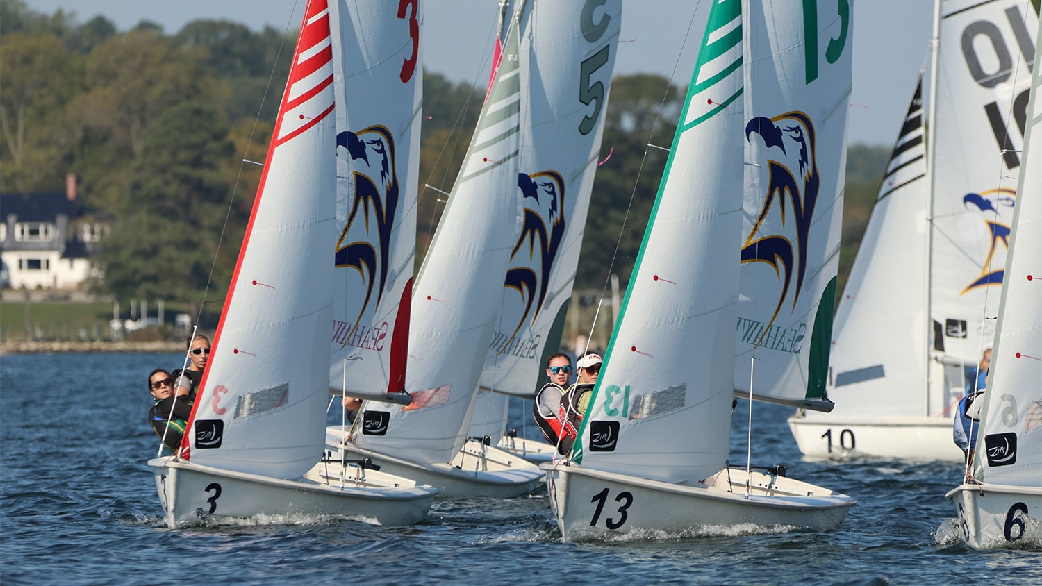 Sailboats race in a 2024 event