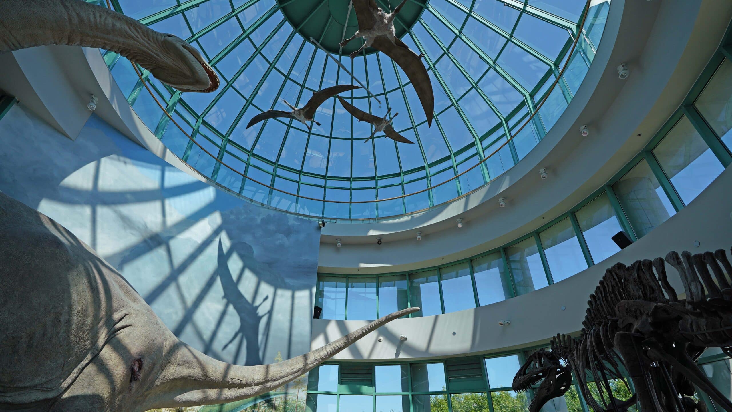 A dinosaur exhibit shows life-sized long-necked and flying dinosaur models against the blue sky of an atrium.