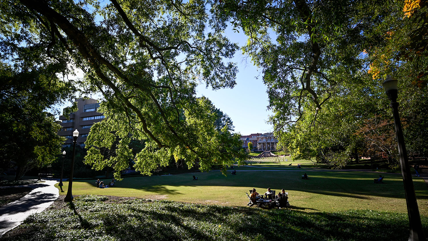 A group of NC State students circle up in chairs under a shade tree at the Court of North Carolina.