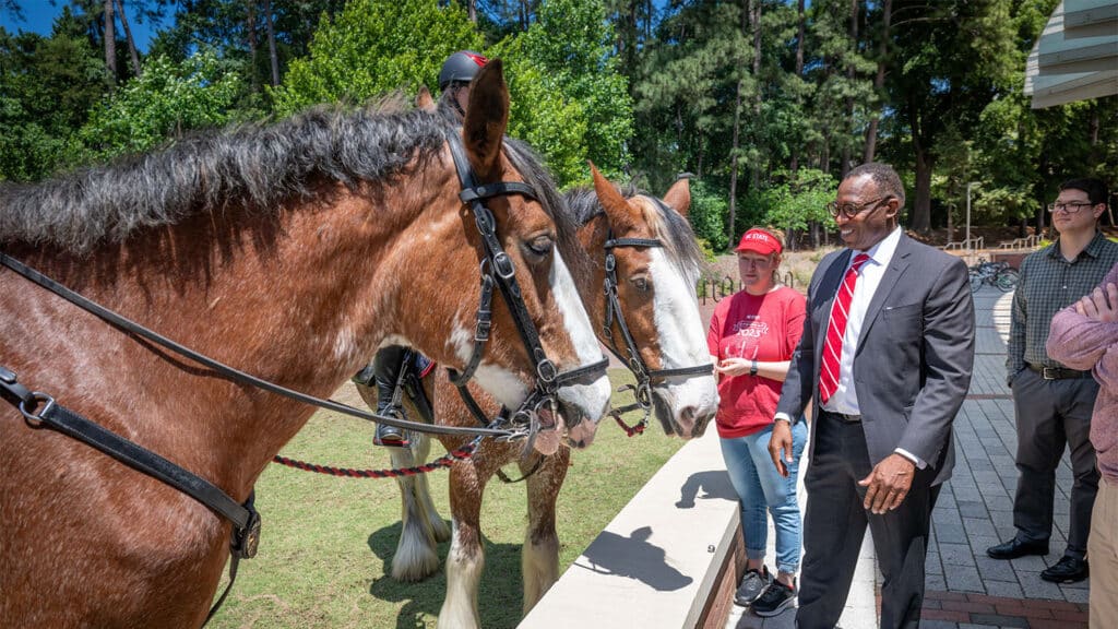 Howell says hello to the University Police Department's horses.