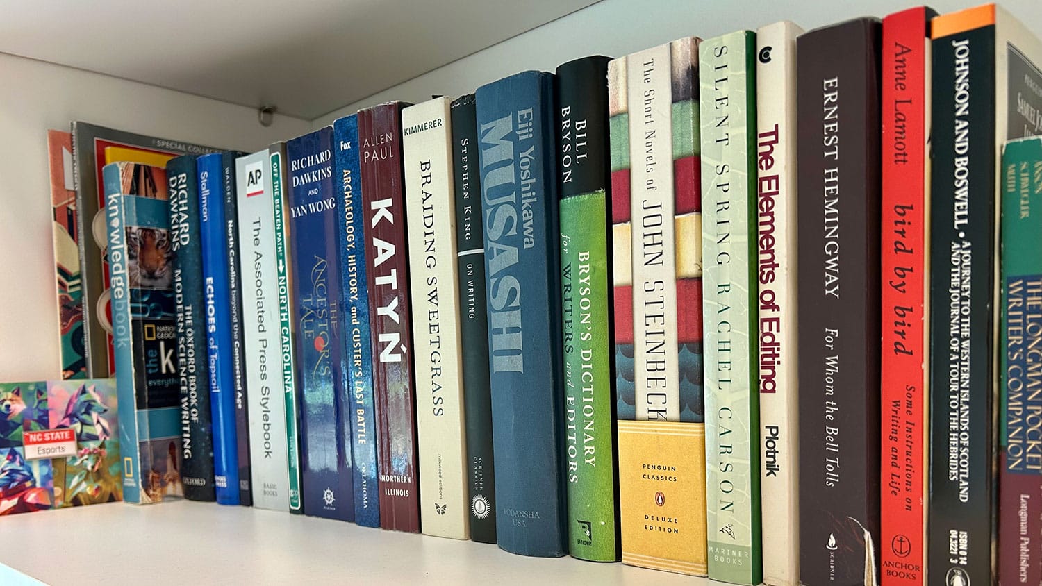 A closeup of books on a bookshelf.