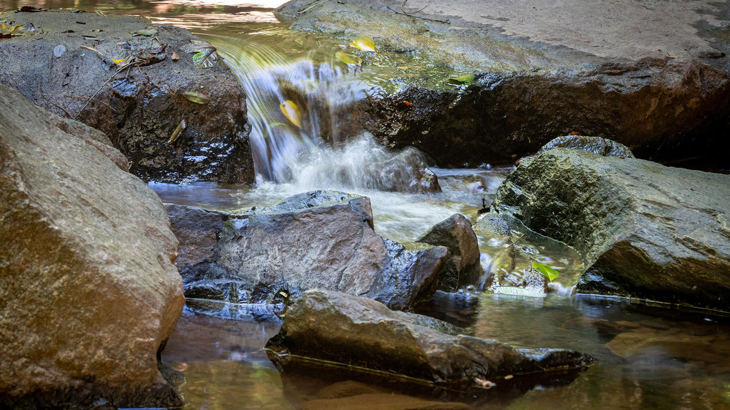 Water tumbles down a low dropoff along Rocky Branch Creek on NC State's campus.