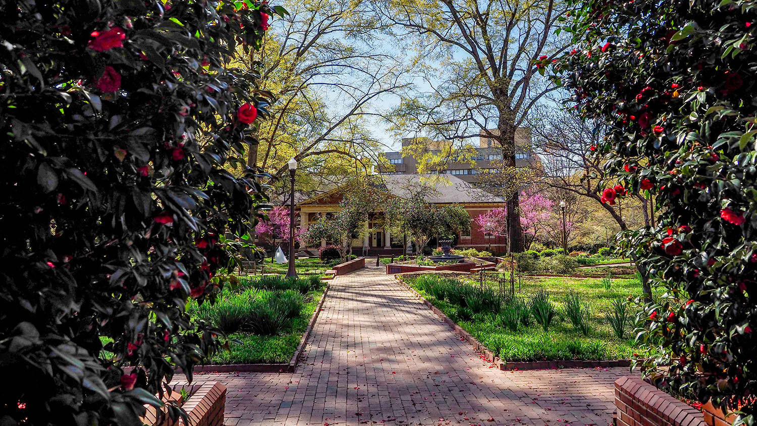 A view of Mary Yarbrough Court on NC State’s campus shows brick walkways, green grass and shrubbery, and flowers blooming on bushes.